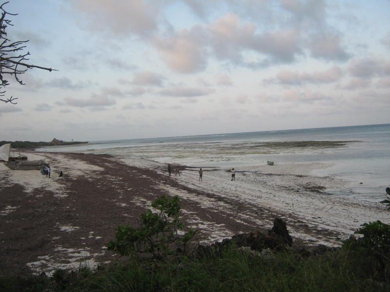 Kilifi Plot For Sale